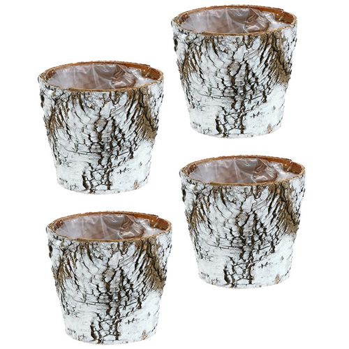 Product Birch pot medium plant pot birch white Ø12cm H10.5cm 4 pcs