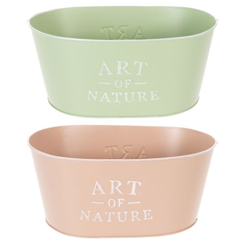 Oval zinc flower bowl, 27 x 18 cm, H 12.5 cm, various colors buy online | Floristik24.ie