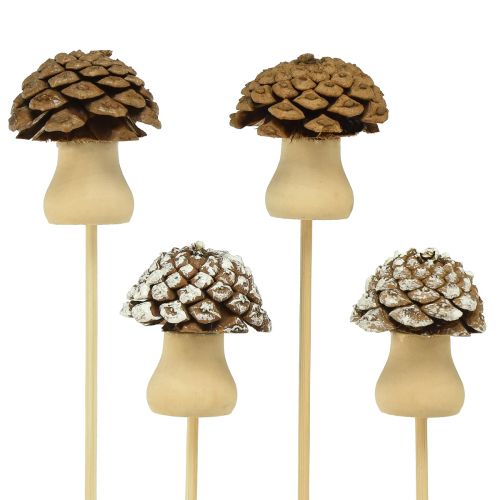 Floristik24 Flower plug cone mushroom decoration plug Advent 4.5cm 12 pcs