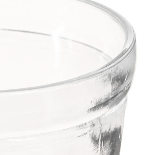 Floristik24 Flowerpot Glass Planter Transparent Ø11cm H10.5cm 2pcs