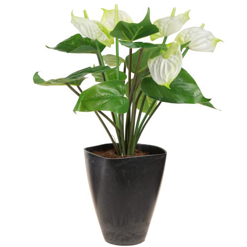 Product Orchid Pot Flowerpot Plastic Anthracite 13.5x13x16.5cm 4pcs