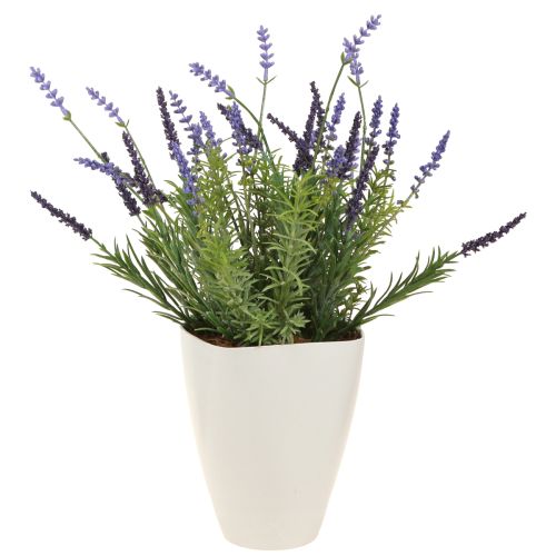 Product Flowerpot Plastic Orchid Pot Plastic White H16.5cm 4pcs