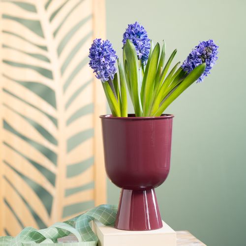Product Flower pot, cup-shaped, modern style, decorative for any home and office, 23cm