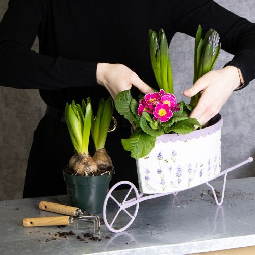 Product Flower pot wheelbarrow with stylish lavender look 46cm