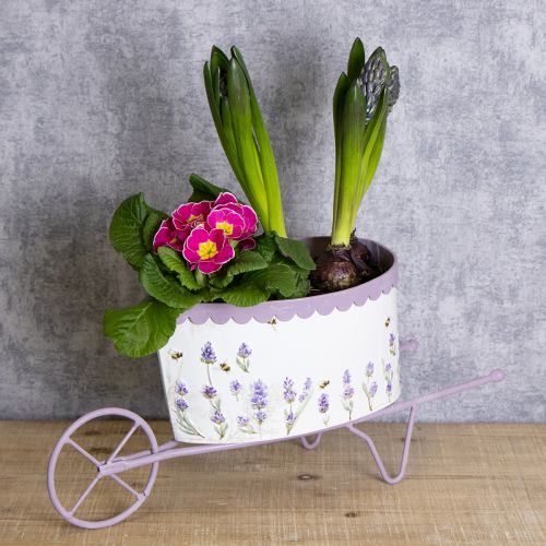 Product Flower pot wheelbarrow with stylish lavender look 46cm