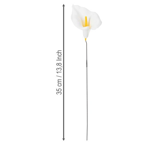 Product Calla lilies on wires, small, white, 50 pieces