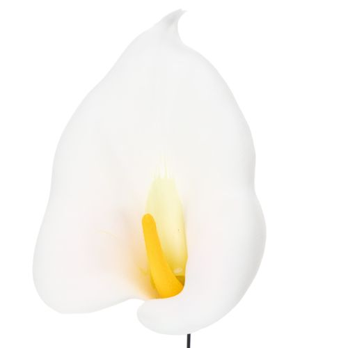Product Calla lilies, medium, on wire, 50 pieces