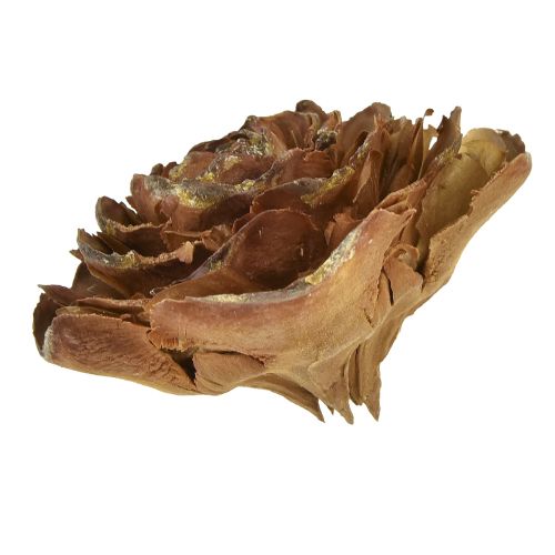 Floristik24 Cedar cones cut as rose Cedarrose 4-6cm natural 50 pcs