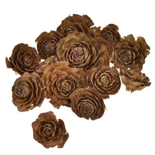 Product Cedar cones cut as rose Cedarrose 4-6cm natural 50 pcs