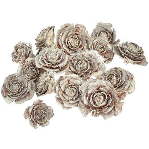 Product Cedar cones cut like rose Cedarrose 4-6cm white/natural 50 pcs