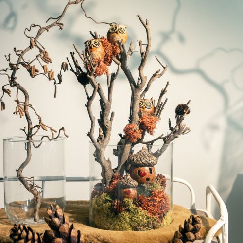 Floristik24 Charming ceramic owl figurines – Detailed design in brown and cream, 10.5 cm – Perfect decoration for living and working spaces – 3 pieces