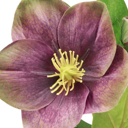 Product Christmas Roses Artificial Snow Rose Purple Flower L35cm 6 Pcs