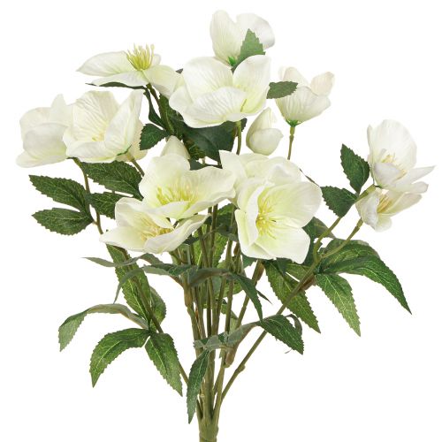 Floristik24 Christmas rose bouquet 39cm cream