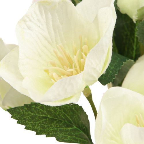 Floristik24 Christmas rose bouquet 39cm cream