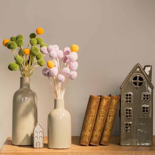 Product Craspedia dried flowers for modern table decoration in your home, 55cm, 20 pieces