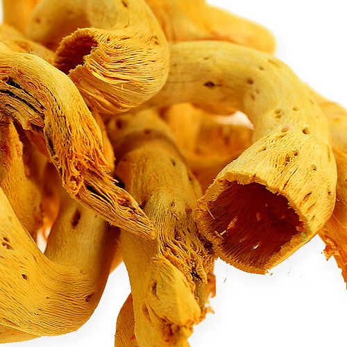 Product Cupy root in yellow 350g