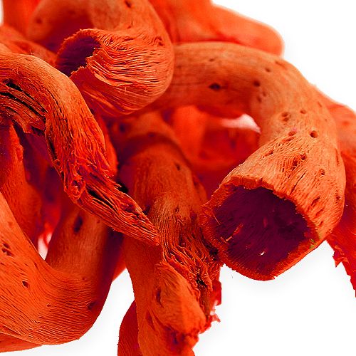Product Cupy root in orange 350g