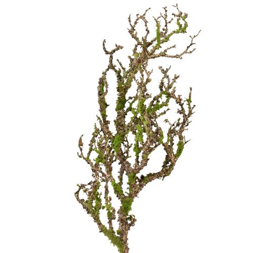 Decorative branch with moss artificial autumn decoration grey green L78cm