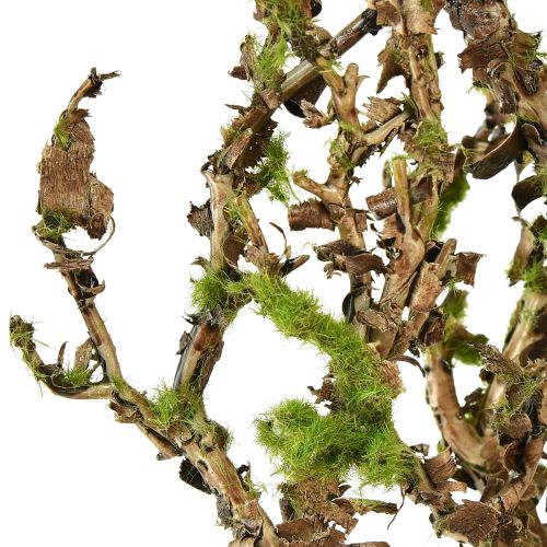 Floristik24 Decorative branch with moss artificial autumn decoration grey green L78cm