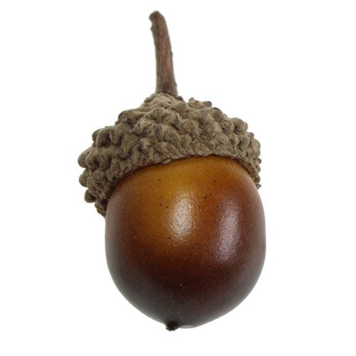 Floristik24 Decorative acorns 3cm 36pcs