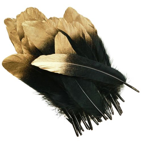 Product Decorative Feathers Black Gold Real Goose Feathers 15-20cm 50pcs
