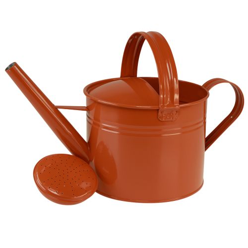 Metal decorative watering can in country style, orange-brown, 26cm, 5L - Versatile use as a planter &amp; decorative can | Floristik24.ie