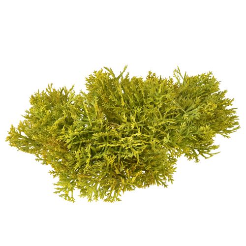 Product Decorative moss artificial green brown – moss cushion 10/12/14cm 3 pcs