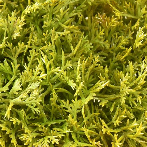 Product Decorative moss artificial green brown – moss cushion 10/12/14cm 3 pcs