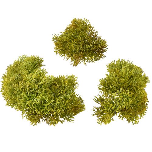 Product Decorative moss artificial green brown – moss cushion 10/12/14cm 3 pcs