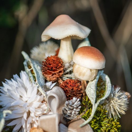 Decorative Mushrooms for Sticking Brown Decorative Mushrooms Autumn 3.5/5.5cm 16 pcs