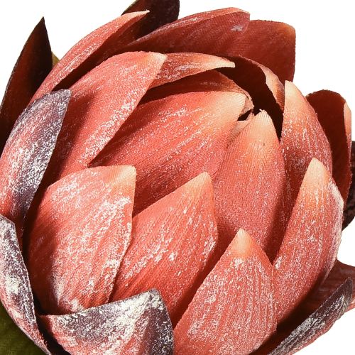 Product Decorative Protea artificial artificial flowers red-orange 34cm 3pcs