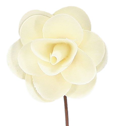 Floristik24 Decorative Roses Cream Artificial Roses made of wood Ø7cm 12 pcs