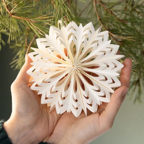 Product Elegant paper snowflakes for winter and Christmas decorations