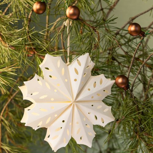 Product Elegant paper snowflakes for winter and Christmas decorations