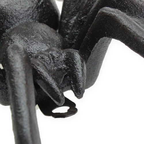 Floristik24 Spider Dark Brown 13.5cm