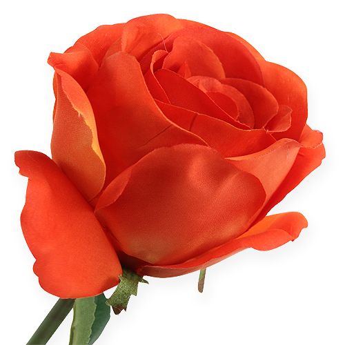 Floristik24 Decorative roses orange 32cm 6pcs