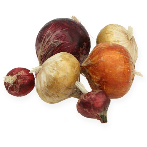 Floristik24 Onion big &amp; small artificial 14pcs.