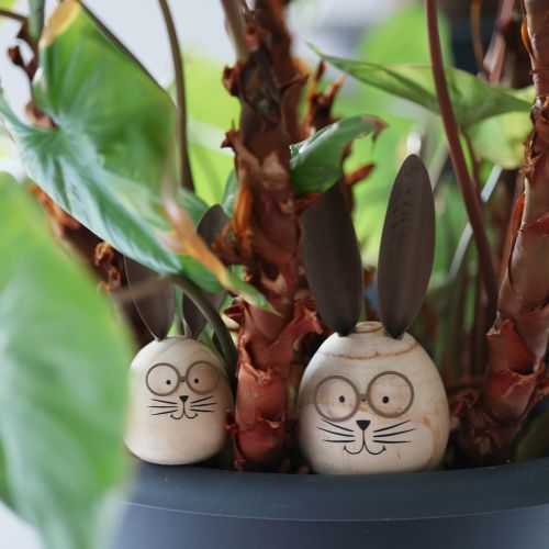 Product Decorative rabbit with a humorous design, a friendly eye-catcher, 19cm, 2 pieces