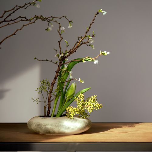 Floristik24 Decorative bowl oval flat ceramic bowl cream grey-green 19×14×5cm