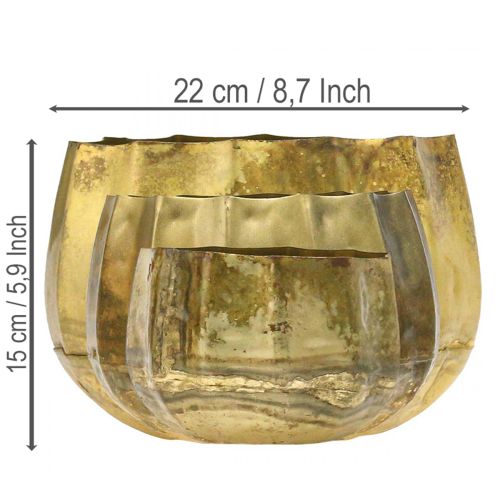 Decorative bowl brass metal bowl Ø22/18/14cm set of 3 | Floristik24.ie