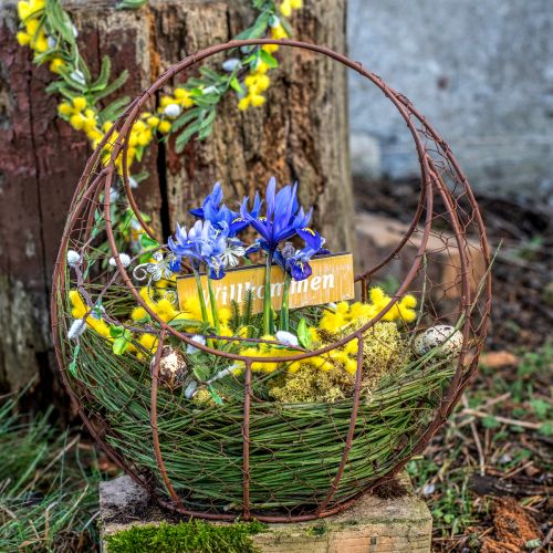 Product Wire Basket Rust Metal Basket with Handle 22.5x11.5x26.5cm