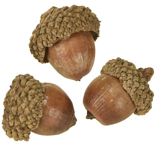 Product Acorns for decoration, autumn decoration, natural autumn fruits Ø1.5 – 2.5cm L1.5 – 3cm 300g