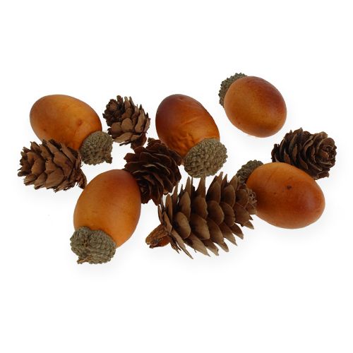 Floristik24 Acorn, cones mix in a net 60pcs