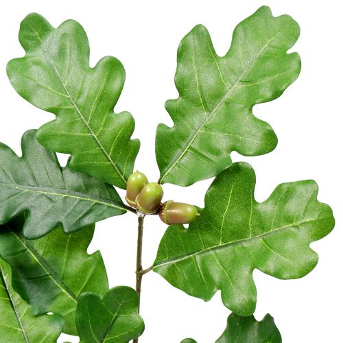 Floristik24 Oak branch green 68cm
