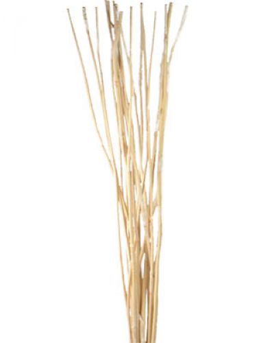 Floristik24 Decorative sticks, Elephant Reed bleached 20 pcs