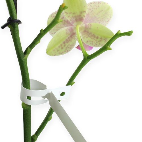 Product Loop labels 13mm x 220mm 1000 pcs