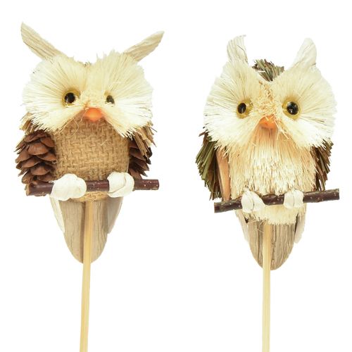 Owl decoration flower plug autumn decoration natural Ø4cm H8cm 4pcs