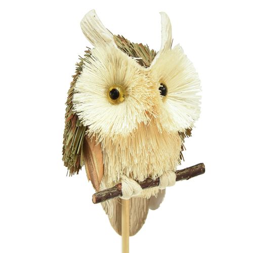 Product Owl decoration flower plug autumn decoration natural Ø4cm H8cm 4pcs