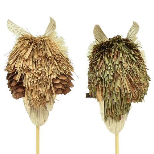 Product Owl decoration flower plug autumn decoration natural Ø4cm H8cm 4pcs