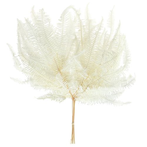 Floristik24 Fern Decoration Fern Fronds Preserved Bleached L45cm 10 pcs